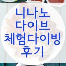 니나노 다이브 네이버블로그