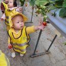 세인농장 이미지