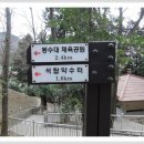 구덕산책로 숲길 이미지