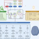 Re: Autophagy in healthy aging and disease 2021년 nature review 이미지