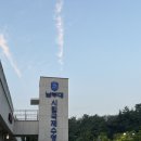 남부대학교 | 남부대학교 시립수영장 기초반 새벽 오픈런 후기,꿀팁