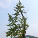 남당회맹단(南塘會盟壇) | 호남가(湖南歌), 호남시(湖南詩)를 따라서 · 54