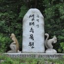 석지자원 이미지
