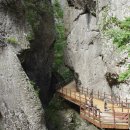 주왕산약국 이미지