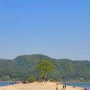 로하스 해피로드 | 대전 가볼만한곳 대청호 명상정원 방문 후기/리뷰 (피크닉 스팟, 가족나들이 강추)