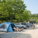 (주)오토가이드 | 울산 작천정 별빛야영장 작괘천 오토캠핑장: 시설 및 환경 종합 분석 가이드