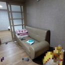 큐9모텔 이미지