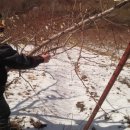 이경일농장 이미지