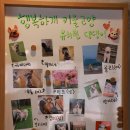 행복하개키울고양 이미지