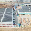 IPA 북항 햇빛발전소 이미지