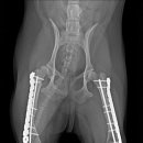 조규만외과동물병원 이미지