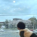 제주소드래 | [제주 맛집 리뷰] 제주 소드래 한정식 솔직 후기