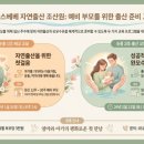 맘스베베자연출산2조산원 | 맘스베베 자연출산 조산원 2026년 2월 정기교육 안내