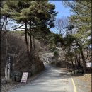 태안사계곡 | 2025년 3월 13일 경남 함양군 안의면 덕유산 용추사