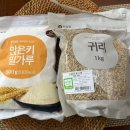 서광농장 | [한살림 서초점] 10월 토박이씨앗의 달(밀가루와 귀리)