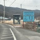[여주 캠핑주막] 코젤 펍이 있는 애견동반가능 캠핑장 후기
