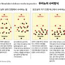 [텔레그래프] 리버풀의 승리로 끝났지만 두 감독의 전술이 '거의' 완벽했던 경기 (영상추가) 이미지