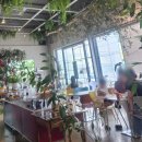 카페오리(cafe ORI) | ​[선바위역 카페] 분위기 좋은 과천 대형 브런치 카페 케이원(CAFE K.ONE) 솔직 후기