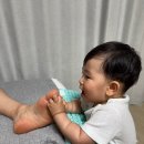 15개월 아기옷 쇼핑 | 에뜨와, 이월특가, 내돈내산, 사이즈