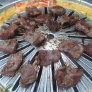 마포갈매기 티스토리