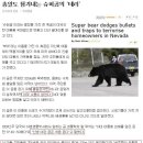 곰슈퍼