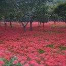 전봉준 고택 이미지