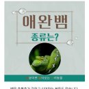 이색 반려(동물/곤충) 소개(애완뱀) 8 이미지