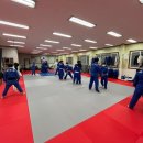 용인대정진유도교실 화원관 이미지