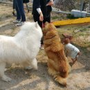 오수(순천) 이미지