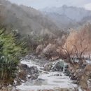 수채화 Daum카페