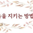 그레이스이인 이미지