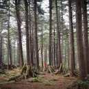 내면주유소 이미지