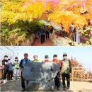 만추의 광교산 산행에서 받은 아름다운 가을단풍 선물에 놀라다(11/7). 이미지