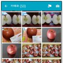 [이벤트 후기] ★ '희야농장'에서 보내온 '영양 찬이슬사과'