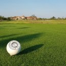 KPGA골프아카데미 이미지