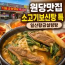 원당맛집 일산황금설렁탕 소고기보신탕 특 완뚝 후기