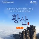 고고투어앤신혼여행 네이버블로그