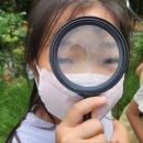 숲또래 협동조합 이미지