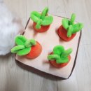 똑똑하개 | [강아지노즈워크] 인싸견 단추픽 &#34;당근밭 노즈워크&#34;