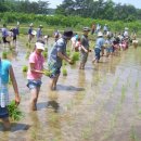 시목마을 이미지