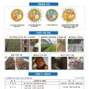 영농종묘농약사 | 칼라병 복합내병계 과실색택과 광택이 뛰어나고 후기까지 상품성 우수한 중간매운맛 고추 씨앗/농우바이오