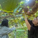 삼동면 동천 이미지