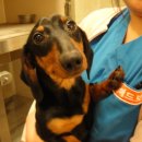 신석초교 이미지