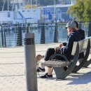 베이시스템(Bay System) 이미지