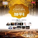 군민의날 공연 이미지