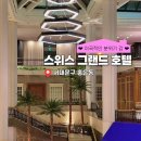 스위스그랜드호텔서울 | 서울 가성비 호캉스 추천 Ι <스위스 그랜드 호텔> 디럭스 더블룸 후기 내돈내산