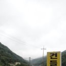 건들내민박 이미지