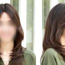 다모란 - 서초구 서초대로1길 6 | 다모란