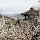 매화스포츠산업