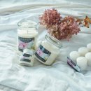 라이트팜 이미지